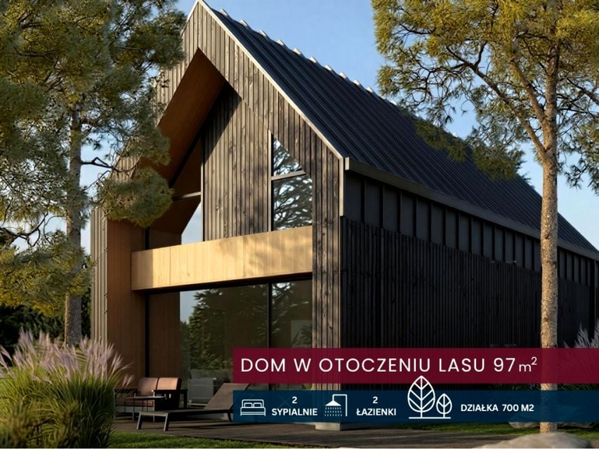 Dom Widełka