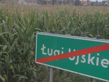Działka budowlana Ługi Ujskie