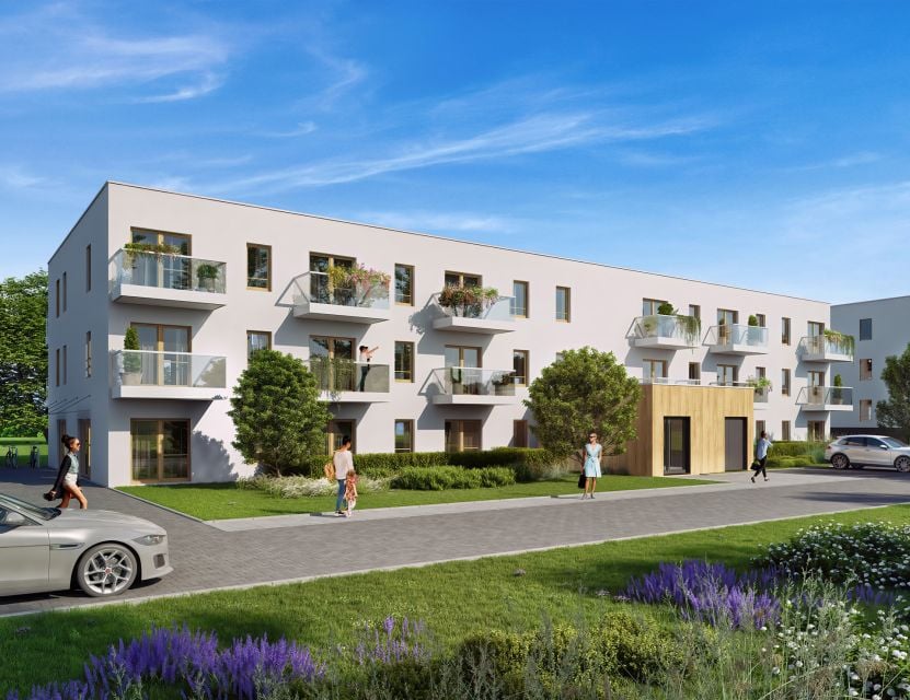 Eco Berensona - etap 2