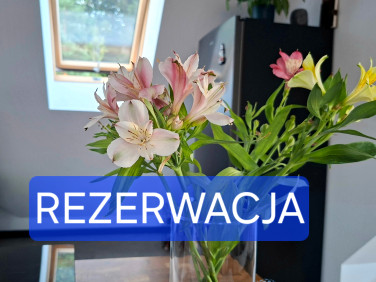 Mieszkanie Gdynia