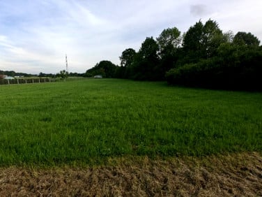 Działka budowlana Oświęcim
