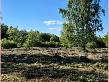 Działka budowlana Pyskowice