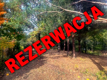 Działka Radachówka