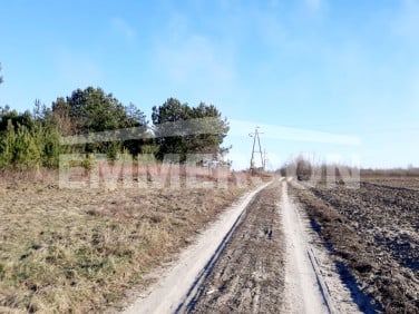 Działka siedliskowa Maszewo Duże