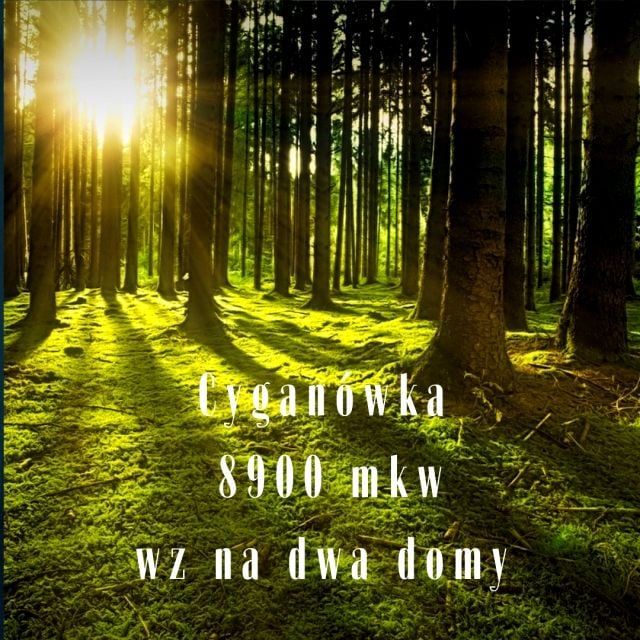Działka leśna Cyganówka