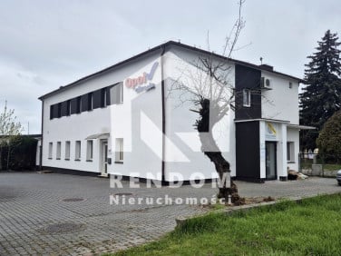 Lokal Opole wynajem