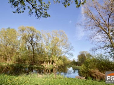 Dom Trzebiatów