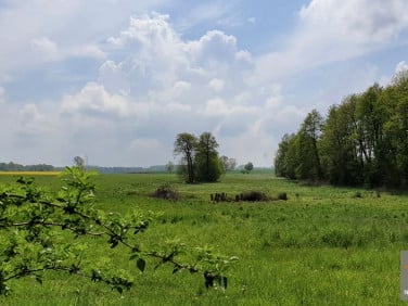 Działka budowlano-rolna Gryfice