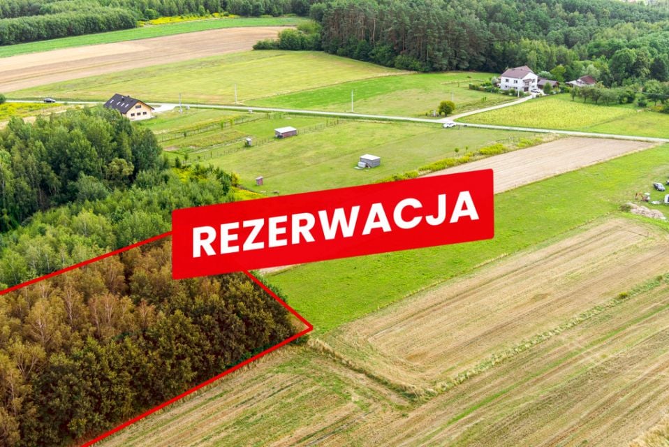Działka leśna Łęki Dolne sprzedam