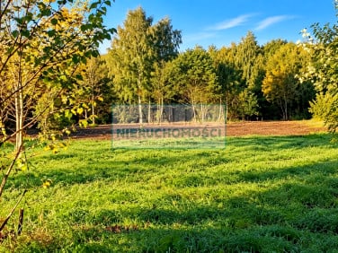 Działka Kozerki
