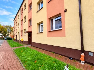 Mieszkanie Dąbrowa Górnicza