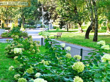 Mieszkanie blok mieszkalny Warszawa