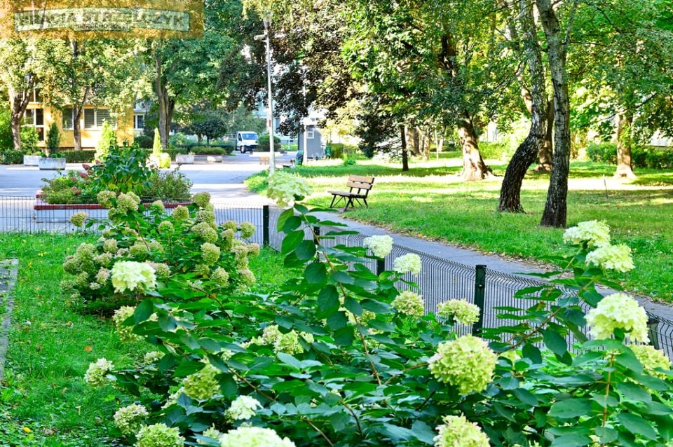 Mieszkanie blok mieszkalny Warszawa
