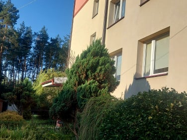 Mieszkanie Siemiatycze