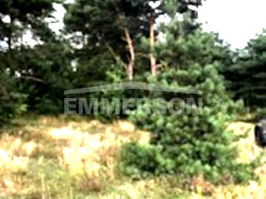 Działka inna Kampinos