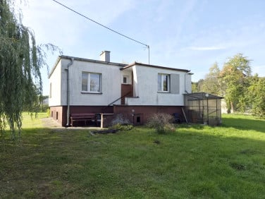 Dom Grudziądz wynajem