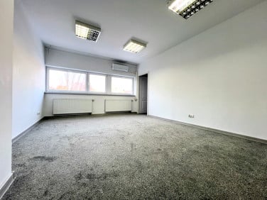 Lokal Rzeszów
