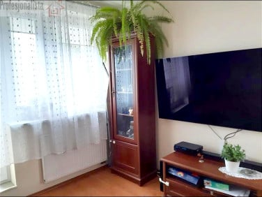 Mieszkanie apartamentowiec sprzedaż