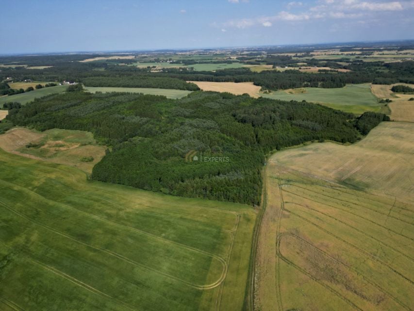 Działka Szczodrowo