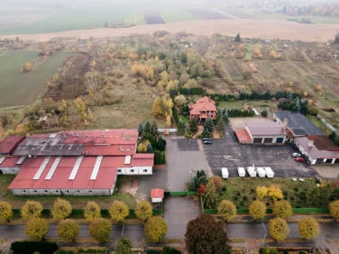 Działka Korsze
