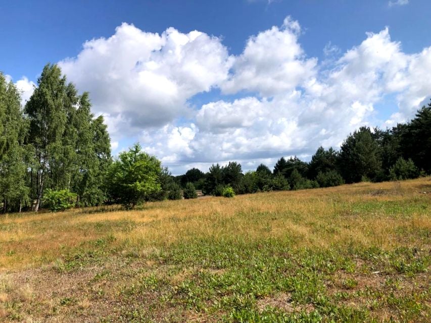 Działka budowlana Maciejów