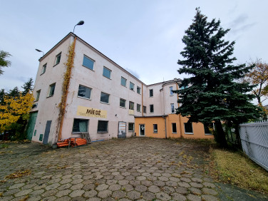 Lokal Pabianice sprzedaż