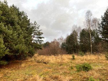 Działka Częstochowa