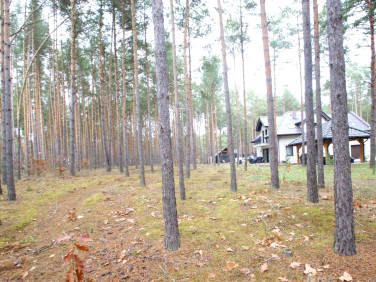 Działka Władysławów