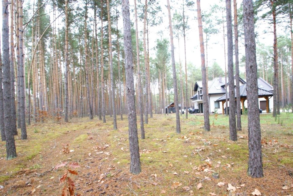 Działka Władysławów