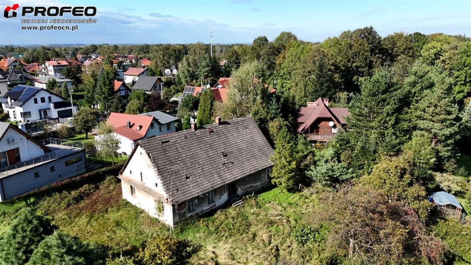 Zdjęcie 2
