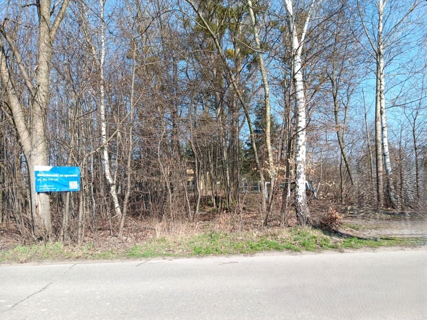 Zdjęcie 2