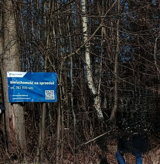 Zdjęcie 3