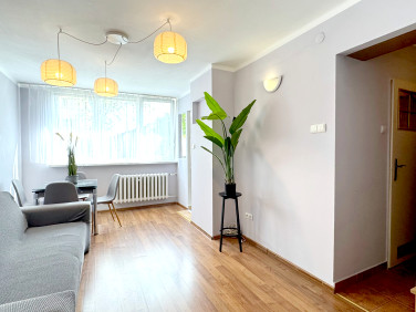 Mieszkanie Bielsko-Biała