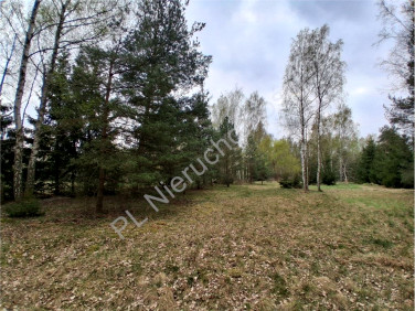 Działka budowlana Marynin