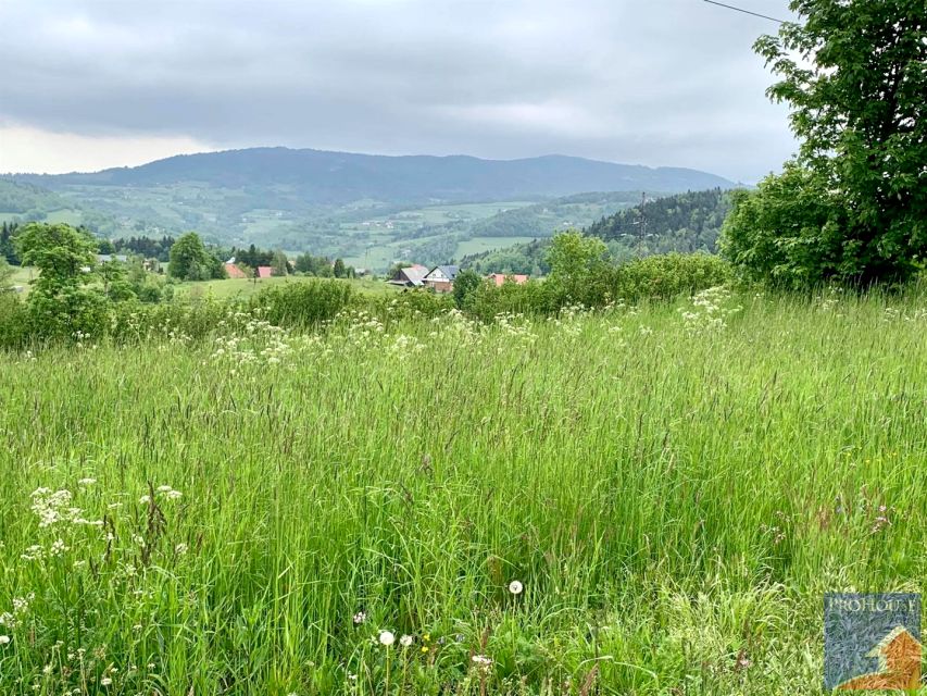 Działka budowlana Tymbark