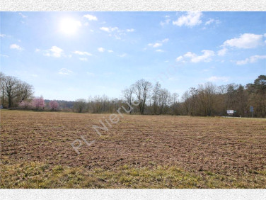 Działka budowlana Płochocin