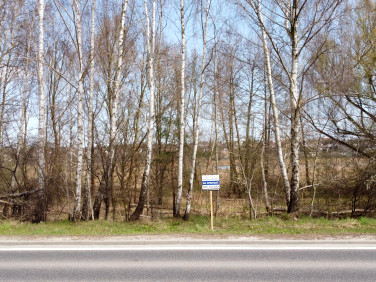 Działka rekreacyjna Starachowice