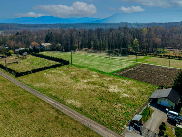 Działka budowlana Pisarzowice