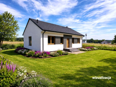 Dom Nowa Wieś Zbąska