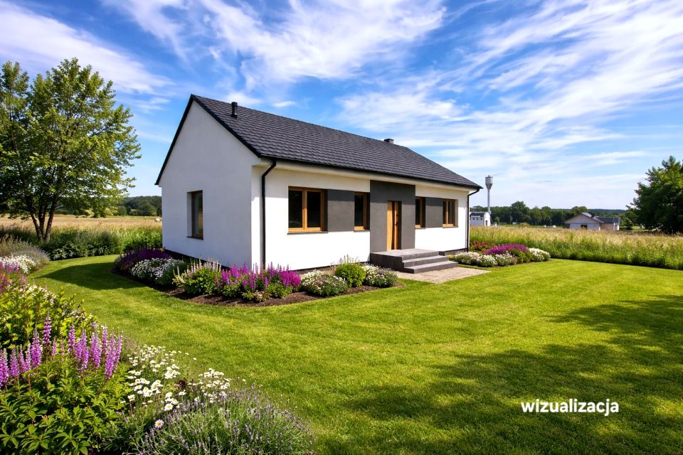 Dom Nowa Wieś Zbąska