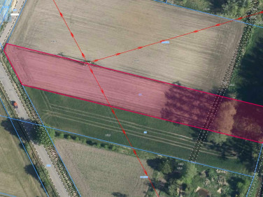 Działka Dziekaństwo