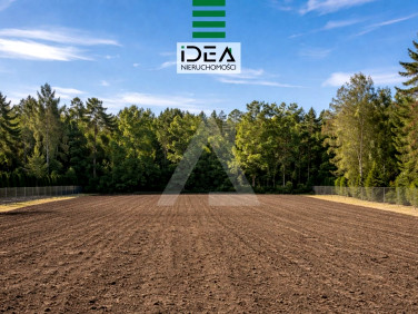 Pusta działka Brzoza