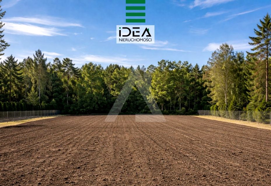 Pusta działka Brzoza