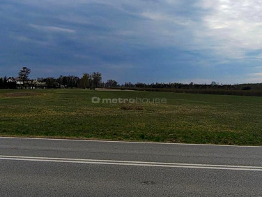 Działka inwestycyjna Stary Łajszczew