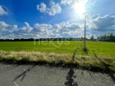 Działka Oleśnica