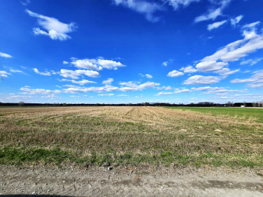 Działka siedliskowa Skrobów