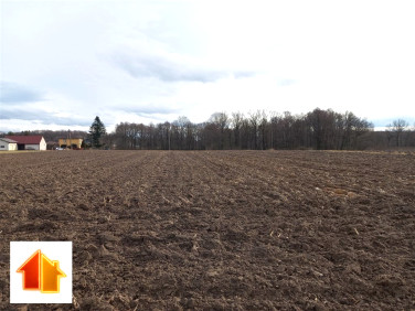 Działka rolna Pawłowice