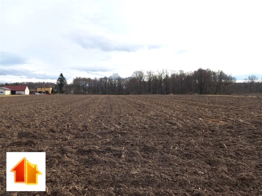 Działka rolna Pawłowice