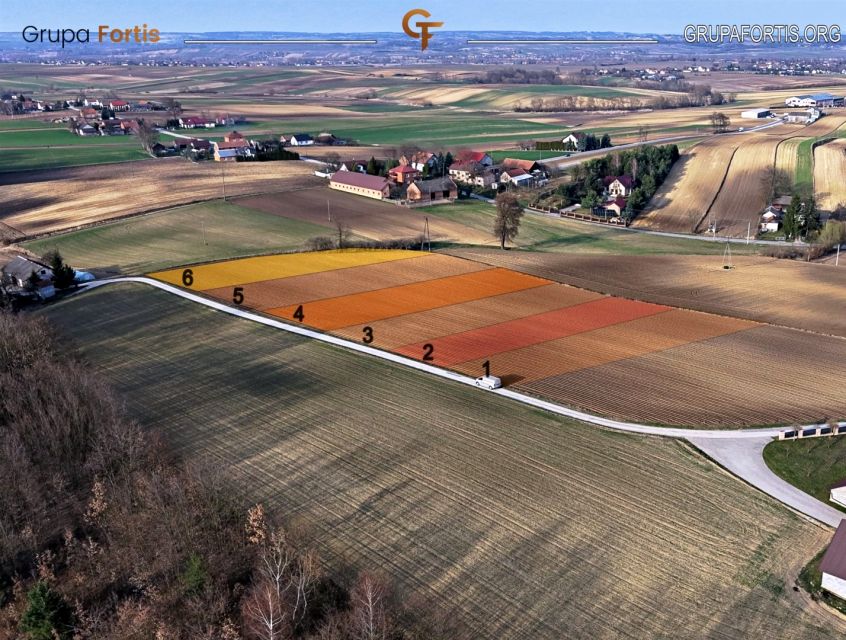 Działka siedliskowa Kazimierza Wielka