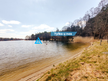 Działka leśna Zabrody